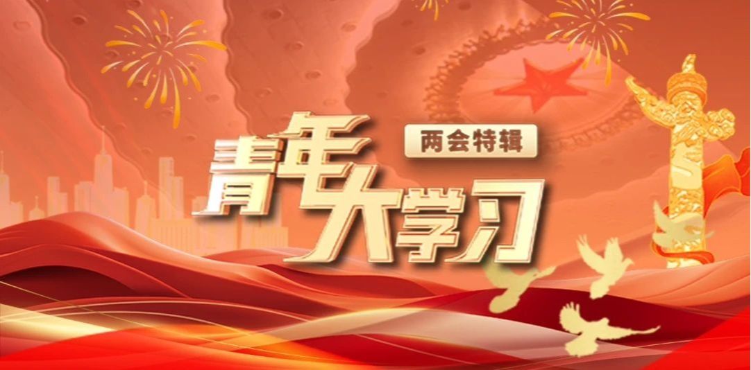 “青年大学习”两会特辑